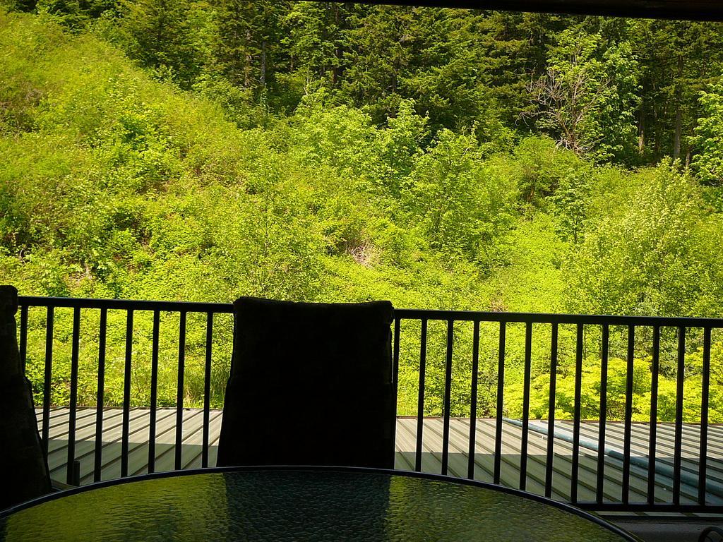 Bonneville Hot Springs Resort & Spa North Bonneville Rum bild